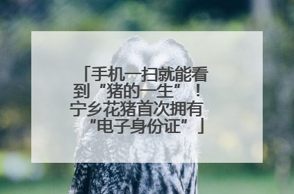 手机一扫就能看到“猪的一生”！宁乡花猪首次拥有“电子身份证”