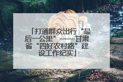 打通群众出行“最后一公里”——甘肃省“四好农村路”建设工作纪实