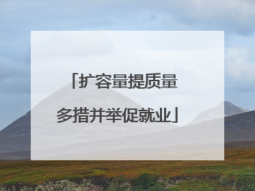 扩容量提质量 多措并举促就业
