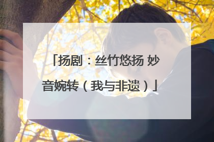 扬剧：丝竹悠扬 妙音婉转（我与非遗）