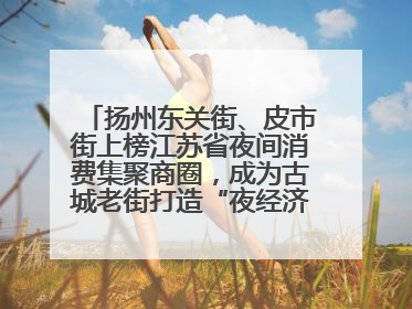扬州东关街、皮市街上榜江苏省夜间消费集聚商圈，成为古城老街打造“夜经济”的样本