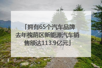 拥有65个汽车品牌 去年槐荫区新能源汽车销售额达113.9亿元