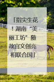 指尖生花！湖南“美丽工坊”随故宫文创亮相联合国