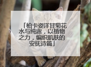 柏卡姿洋甘菊花水与纯露，以植物之力，编织肌肤的安抚诗篇