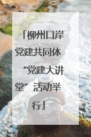 柳州口岸党建共同体“党建大讲堂”活动举行