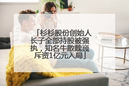 杉杉股份创始人长子全部持股被强执，知名牛散魏巍斥资1亿元入局
