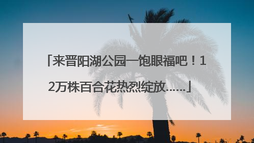 来晋阳湖公园一饱眼福吧！12万株百合花热烈绽放……