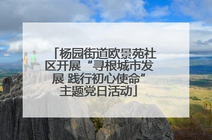 杨园街道欧景苑社区开展“寻根城市发展 践行初心使命”主题党日活动