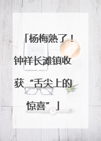 杨梅熟了！钟祥长滩镇收获“舌尖上的惊喜”