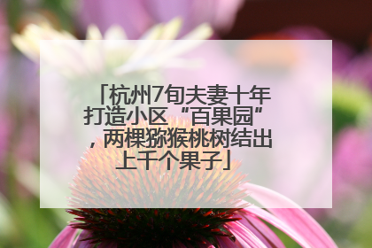 杭州7旬夫妻十年打造小区“百果园”，两棵猕猴桃树结出上千个果子