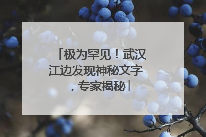 极为罕见！武汉江边发现神秘文字，专家揭秘