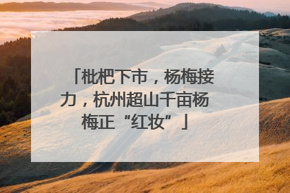 枇杷下市，杨梅接力，杭州超山千亩杨梅正“红妆”