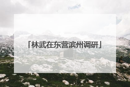 林武在东营滨州调研
