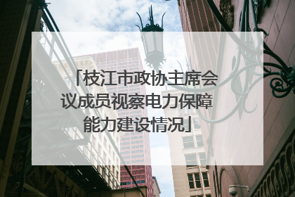 枝江市政协主席会议成员视察电力保障能力建设情况