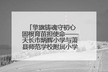 擎旗铸魂守初心 固根育苗担使命——天长市炳辉小学与萧县师范学校附属小学结对共建活动纪实