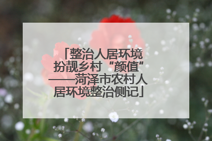 整治人居环境 扮靓乡村“颜值”——菏泽市农村人居环境整治侧记