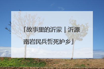 故事里的沂蒙｜沂源南岩民兵誓死护乡
