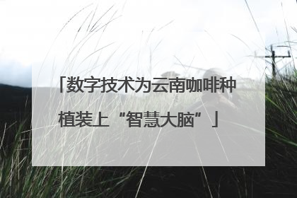 数字技术为云南咖啡种植装上“智慧大脑”