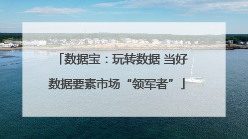 数据宝：玩转数据 当好数据要素市场“领军者”