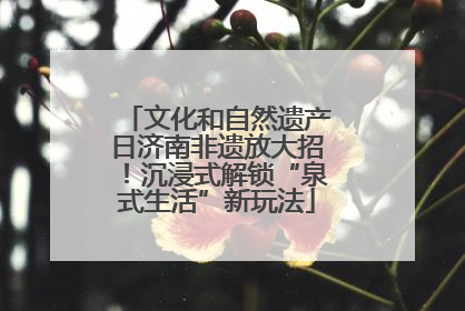 文化和自然遗产日济南非遗放大招！沉浸式解锁“泉式生活”新玩法