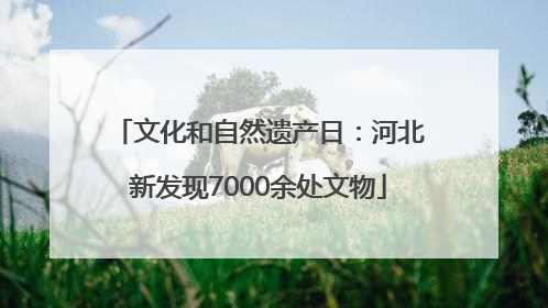 文化和自然遗产日：河北新发现7000余处文物