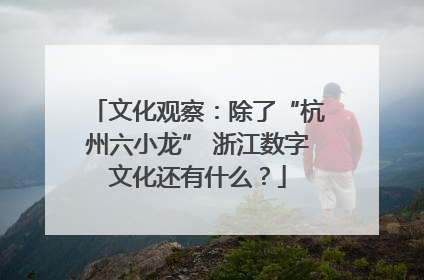 文化观察：除了“杭州六小龙” 浙江数字文化还有什么？