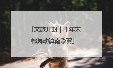 文旅开封｜千年宋都舞动滇南彩翼