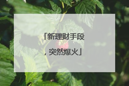 新理财手段，突然爆火