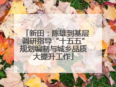 新田：陈雄到基层调研指导“十五五”规划编制与城乡品质大提升工作
