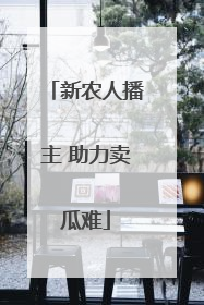 新农人播主 助力卖瓜难