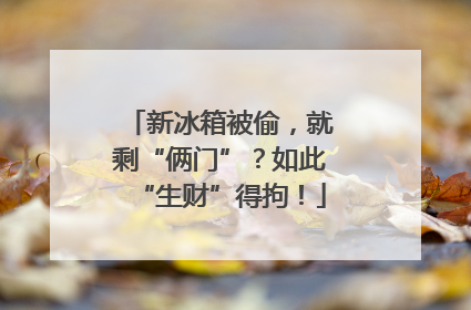 新冰箱被偷，就剩“俩门”？如此“生财”得拘！