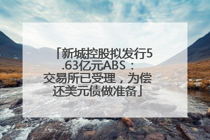 新城控股拟发行5.63亿元ABS：交易所已受理，为偿还美元债做准备