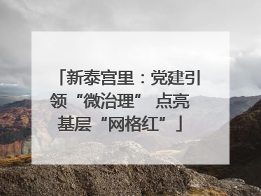 新泰宫里：党建引领“微治理” 点亮基层“网格红”