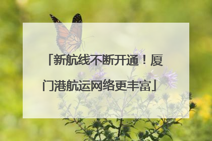 新航线不断开通！厦门港航运网络更丰富