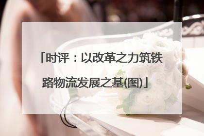 时评：以改革之力筑铁路物流发展之基(图)