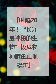 时隔20年！“长江最神秘的生物”极危物种鳤鱼重现赣江