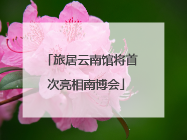 旅居云南馆将首次亮相南博会