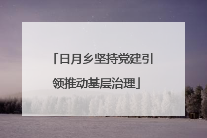 日月乡坚持党建引领推动基层治理