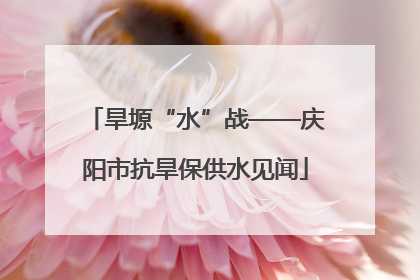 旱塬“水”战——庆阳市抗旱保供水见闻