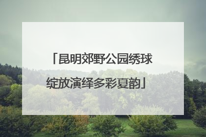 昆明郊野公园绣球绽放演绎多彩夏韵