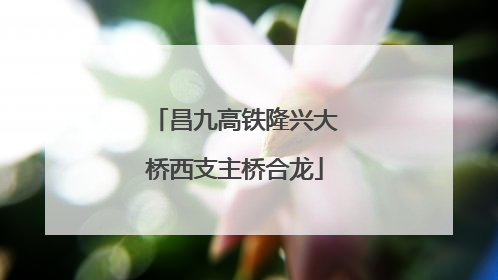 昌九高铁隆兴大桥西支主桥合龙