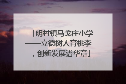 明村镇马戈庄小学——立德树人育桃李，创新发展谱华章