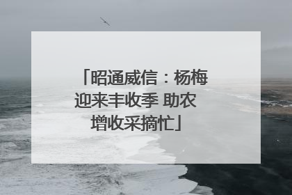 昭通威信：杨梅迎来丰收季 助农增收采摘忙