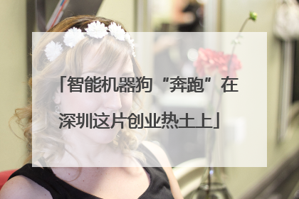 智能机器狗“奔跑”在深圳这片创业热土上