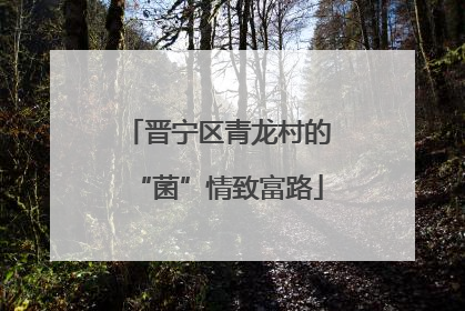 晋宁区青龙村的“菌”情致富路