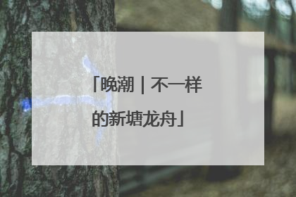 晚潮｜不一样的新塘龙舟
