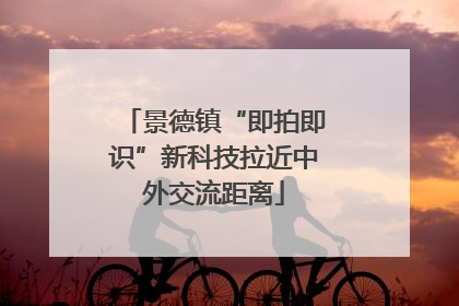 景德镇“即拍即识”新科技拉近中外交流距离