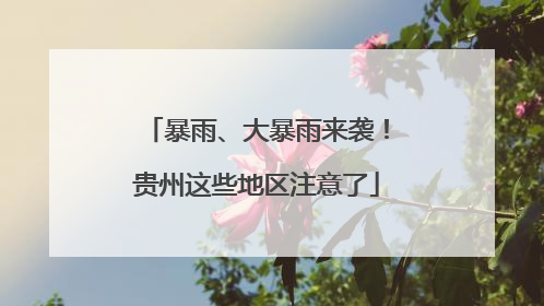 暴雨、大暴雨来袭！贵州这些地区注意了
