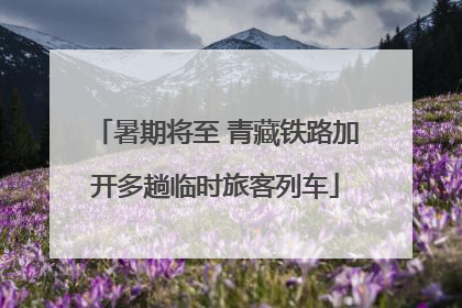 暑期将至 青藏铁路加开多趟临时旅客列车
