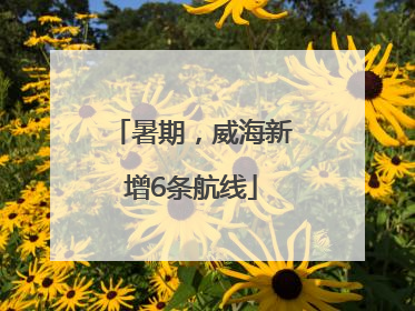 暑期，威海新增6条航线